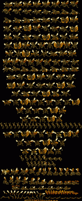 locust.gif