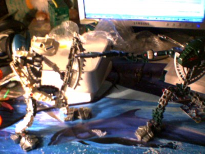 20080312-192622.jpg