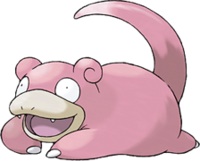 image.jpg