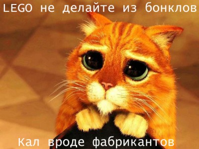 20c28d1c63d4.jpg