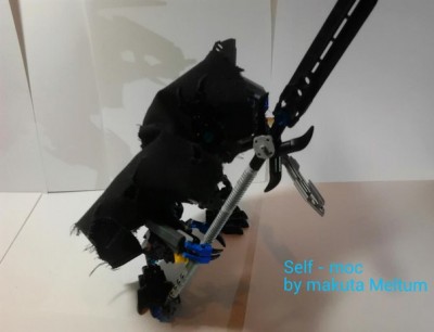 meitum 2.jpg