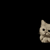 18fa8240d5bf4649c6a310b42511ae7d.gif
