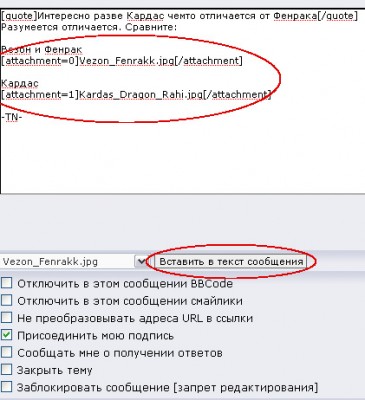 primer.jpg