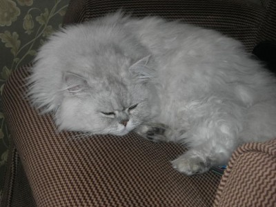 2007 033.jpg