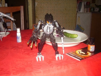 P6232497.JPG
