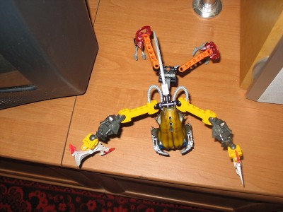IMG_1802_resize.JPG