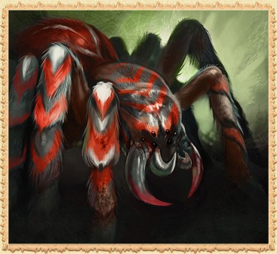 spider2_big.jpg