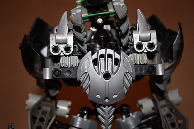 bion 005.jpg