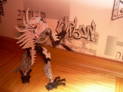 DSCN1350.JPG